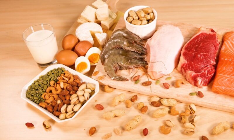 prikaz izvora proteina iz hrane