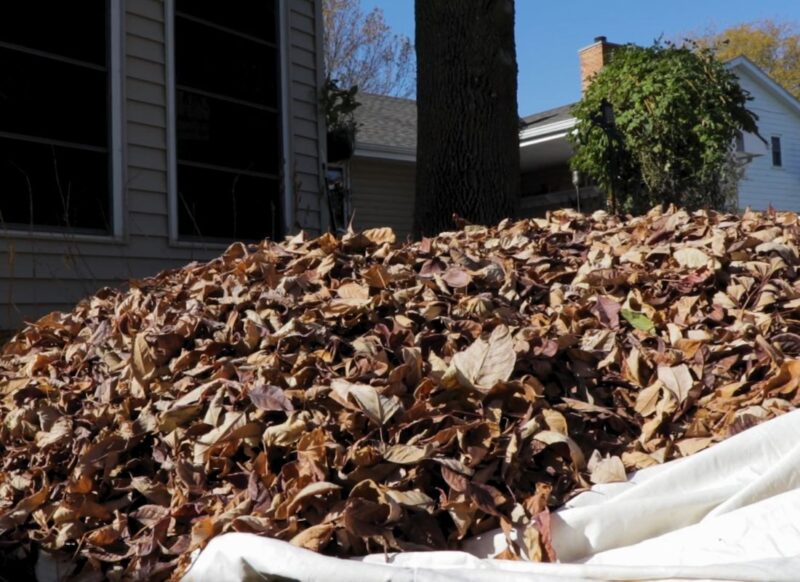 gomila lišća u dvorištu