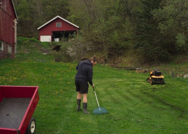 Priprema za prolećno čišćenje dvorišta, 12 koraka za sređivanje posle zime